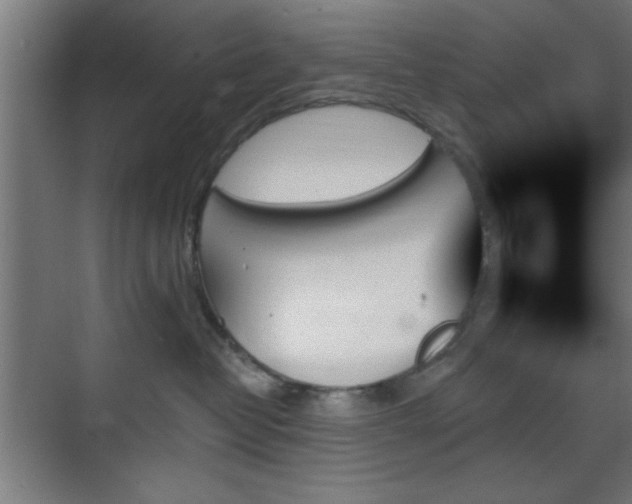 X0000070860382200606191323