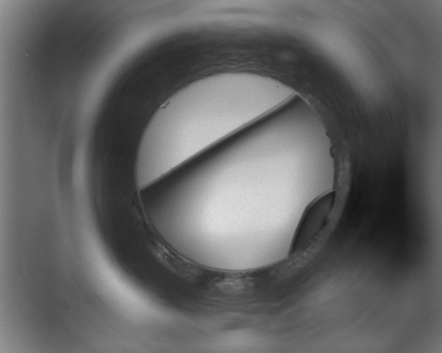 X0000070860383200606191323