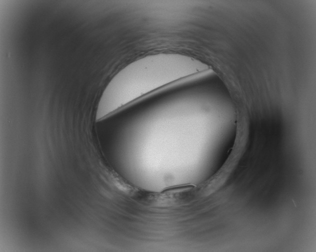 X0000070860384200606191323