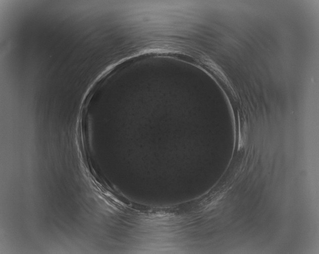 X0000070860387200606191322