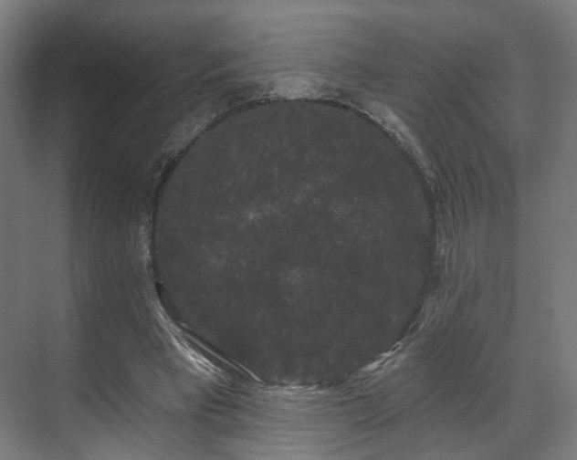 X0000070860393200606191322