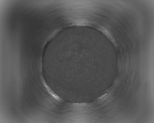 X0000070860397200606191322