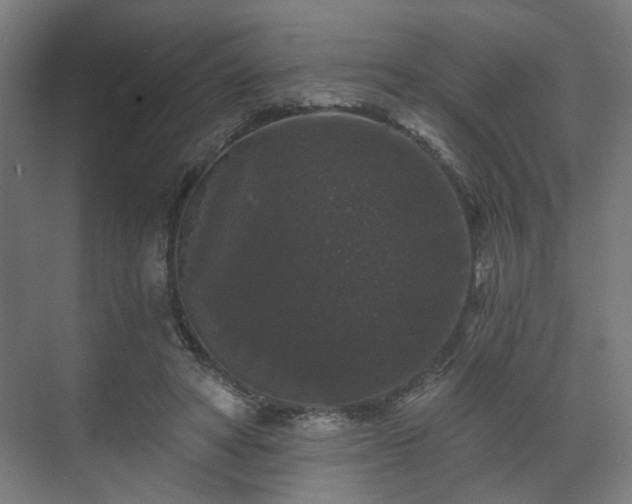 X0000070860402200606191322