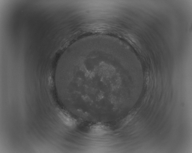 X0000070860408200606191322