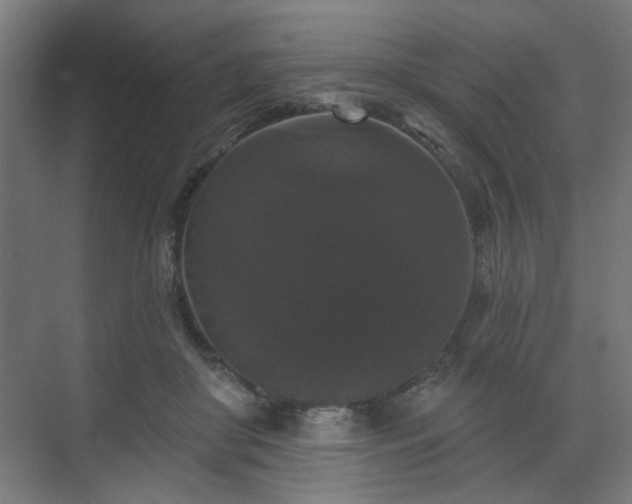 X0000070860410200606191321