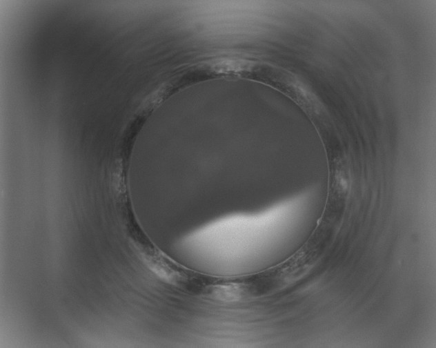 X0000070860411200606191321