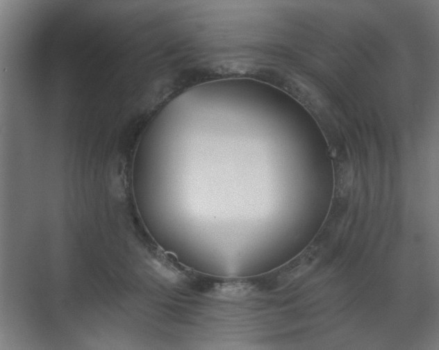 X0000070860414200606191321