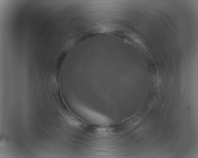 X0000070860415200606191321