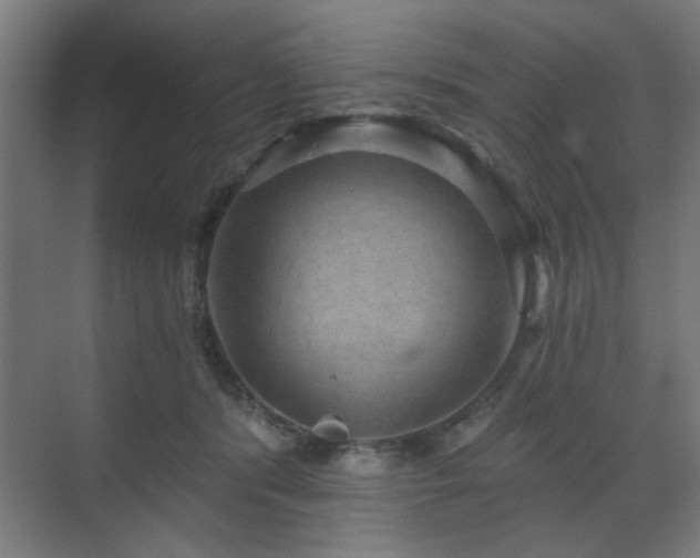X0000070860416200606191321