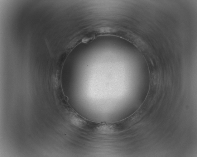 X0000070860422200606191321