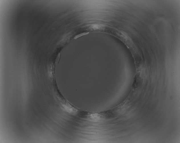 X0000070860423200606191321