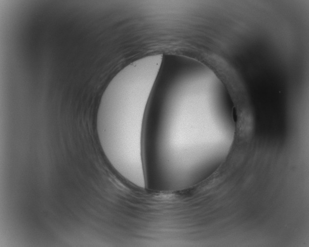 X0000070860428200606191321