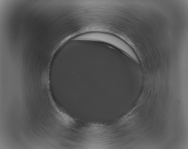 X0000070860438200606191320
