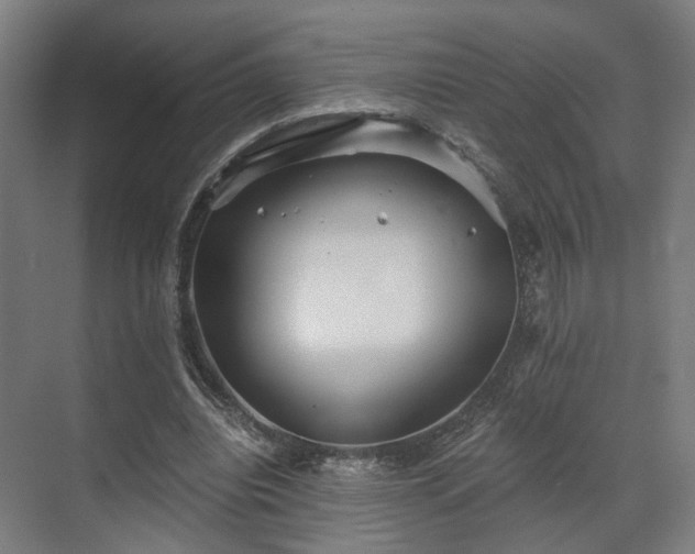 X0000070860440200606191320