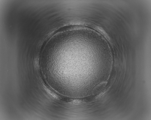 X0000070860441200606191320