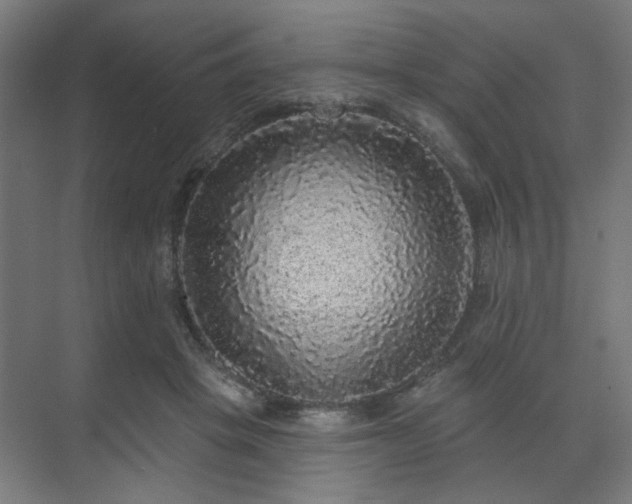 X0000070860457200606191321