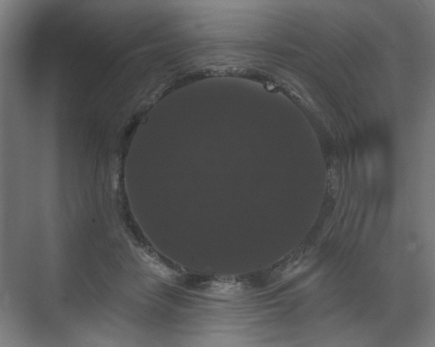 X0000070860458200606191321