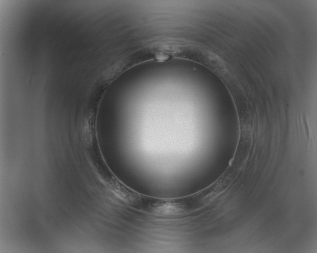 X0000070860460200606191321