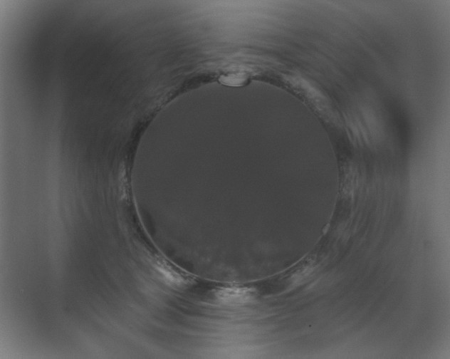 X0000070860465200606191321