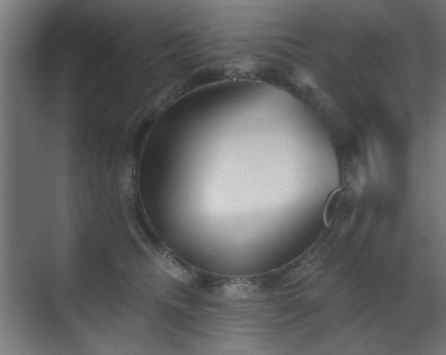 X0000070860468200606191321