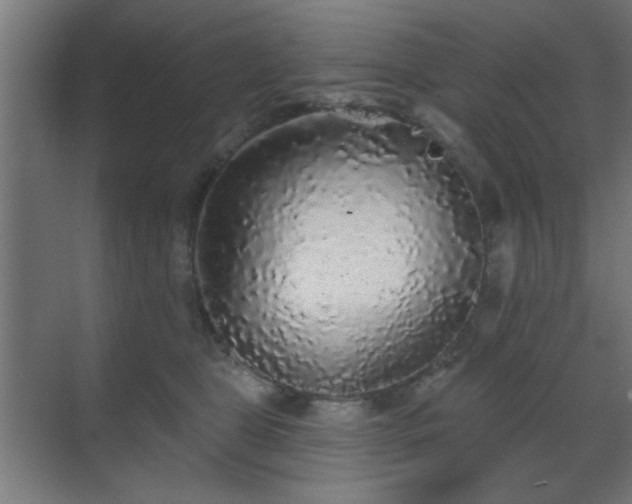 X0000070860469200606191321