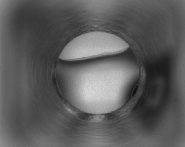X0000070860474200606191321