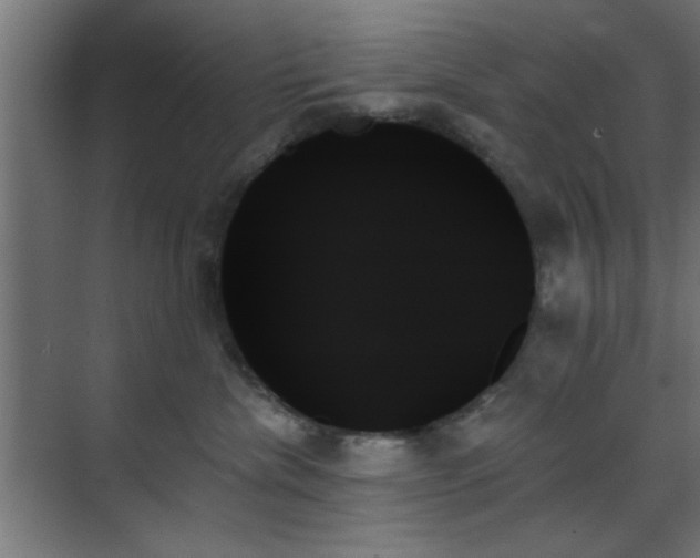 X0000070860476200606191321