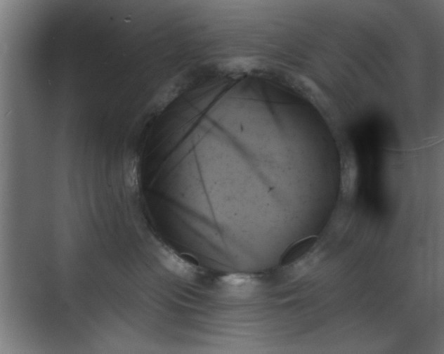 X0000070860477200606191321
