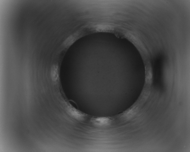 X0000070860478200606191321