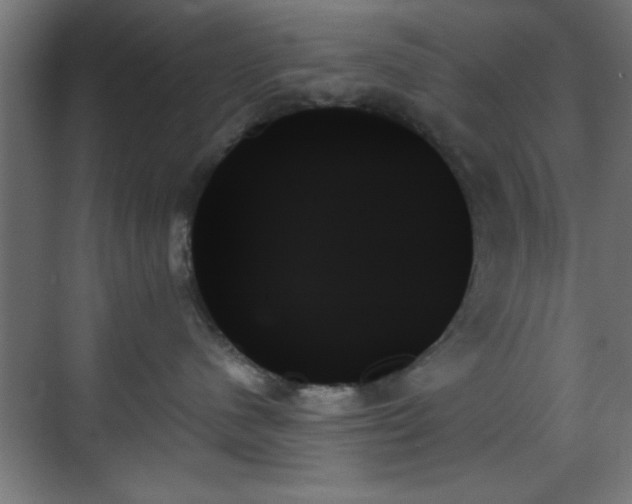 X0000070860480200606191321
