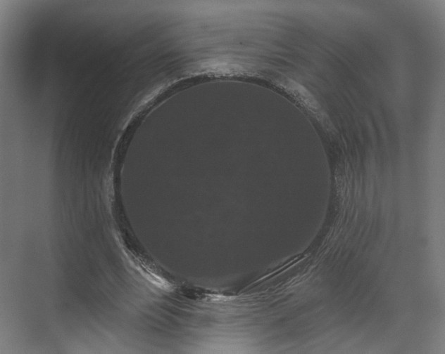 X0000070860488200606191320