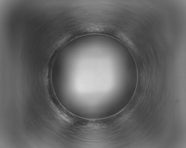 X0000070860490200606191320