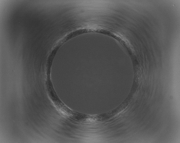 X0000070860496200606191320