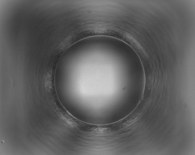 X0000070860497200606191320