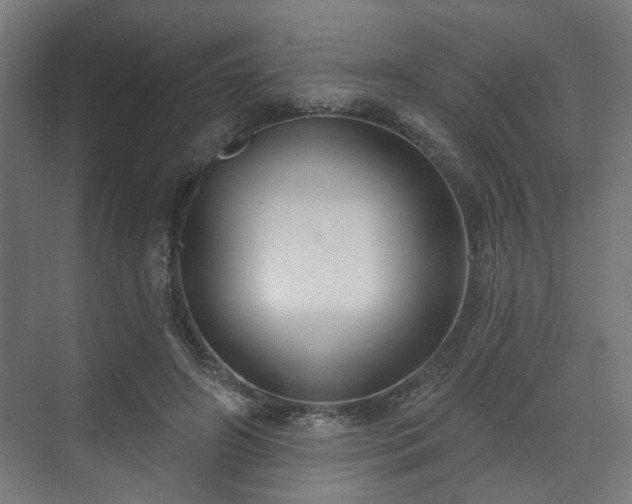 X0000070860498200606191320