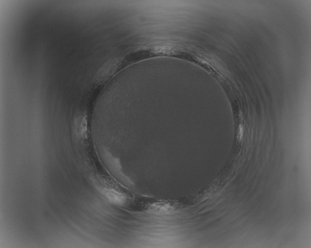 X0000070860502200606191320