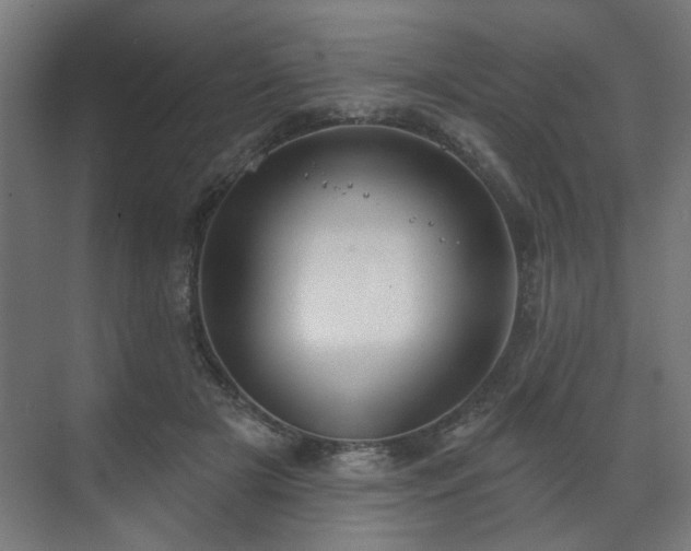 X0000070860505200606191320