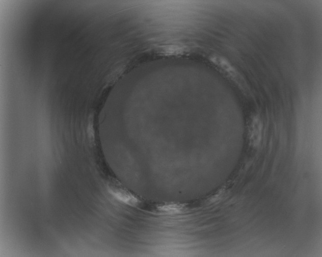 X0000070860516200606191320