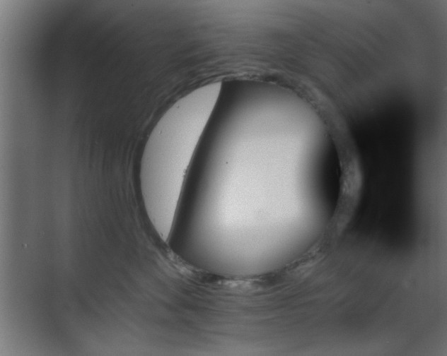 X0000070860524200606191320