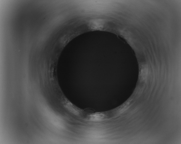X0000070860525200606191320