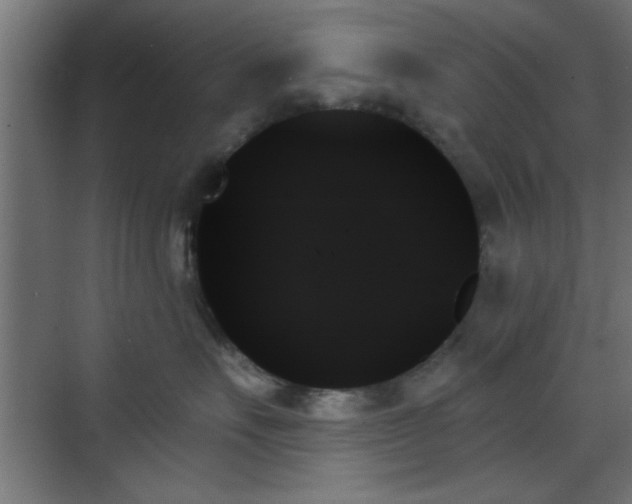 X0000070860527200606191319