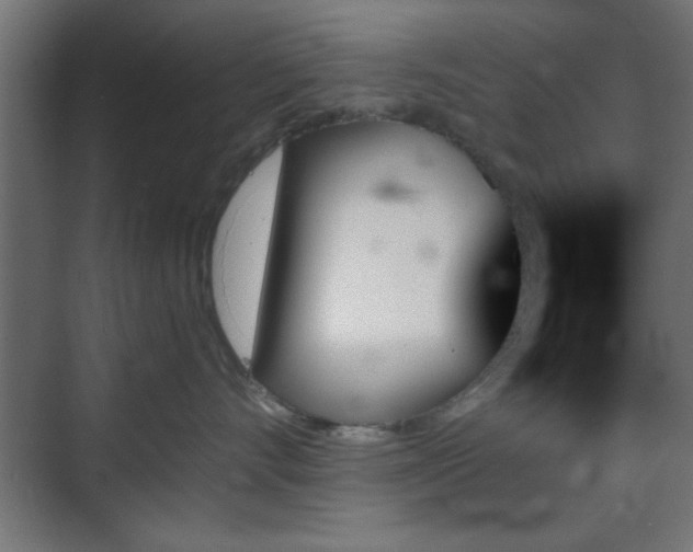 X0000070860528200606191319