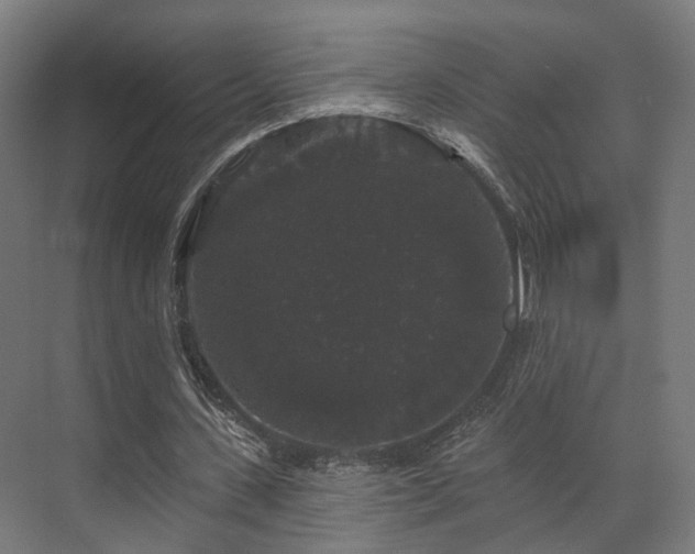 X0000070860531200606191319