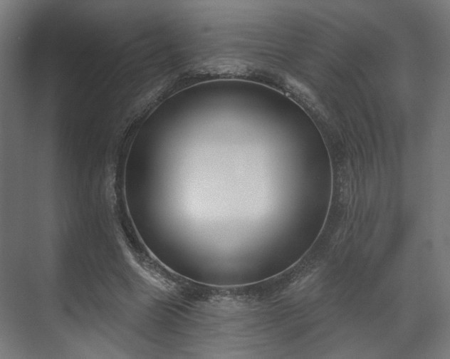 X0000070860538200606191319