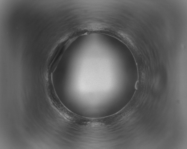 X0000070860539200606191319