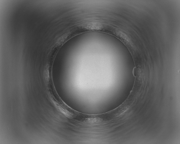 X0000070860541200606191319
