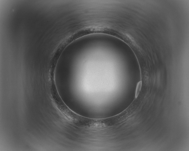 X0000070860543200606191319