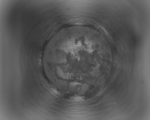 X0000070860553200606191319