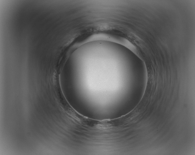 X0000070860556200606191319