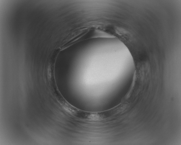 X0000070860562200606191319
